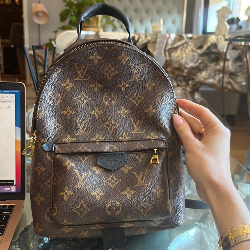 Louis Vuitton Palm Springs Backpack PM